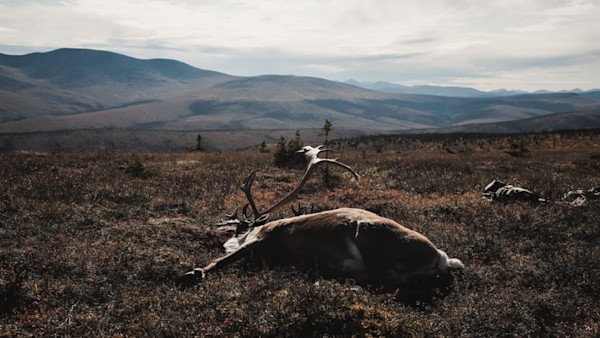 Most Americans Just Lost Millions of Acres of Hunting Access