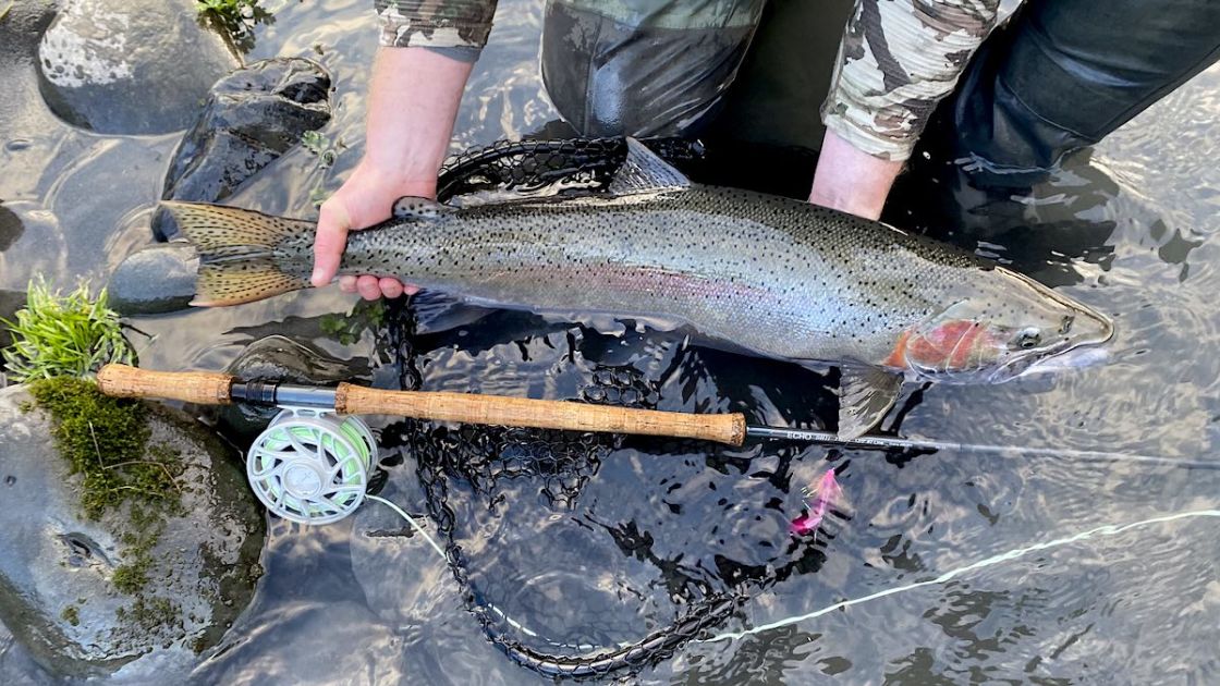 Spey Casting for (and catching) Wild Steelhead On The Olympic Peninsula 