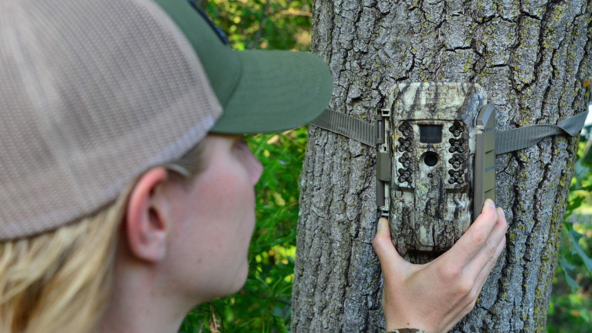 3 Locations You Need To Put Trail Cameras This Summer