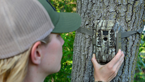 3 Locations You Need To Put Trail Cameras This Summer