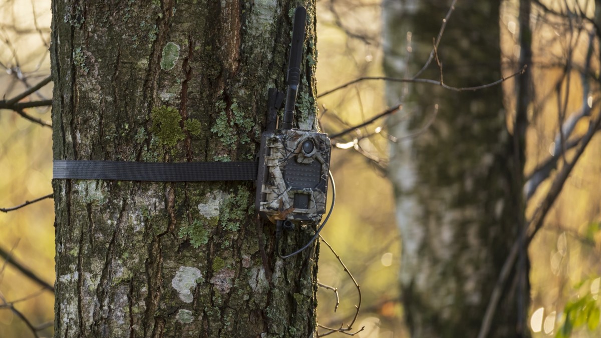 Tennessee Rules Game Wardens Need Warrants for Private Property Investigations