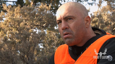 Bald man in orange hunting vest looking up in brush; MEAT EATER logo visible