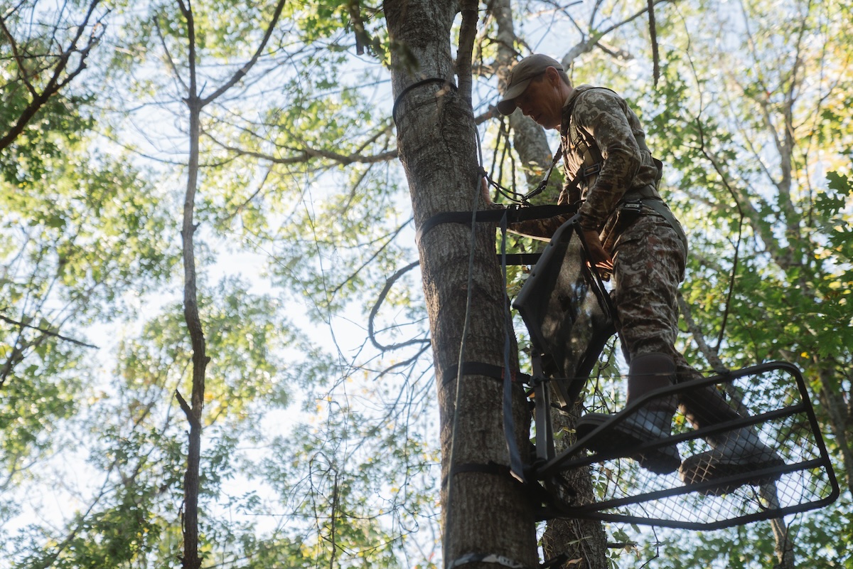 steve and tony whitetail