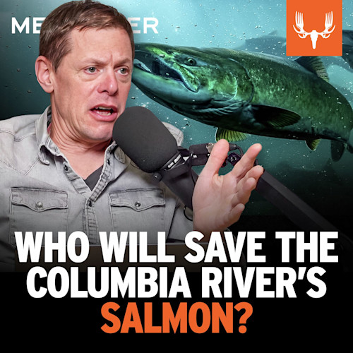 Ep. 829: Who Will Save the Columbia River's Salmon?