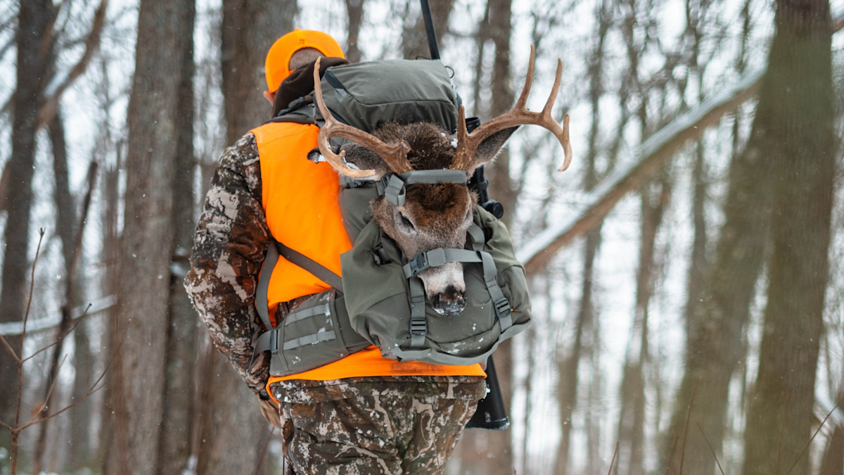 The One Myth That Keeps A Lot Of Whitetail Hunters From Success