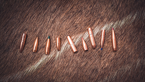 How to Choose the Right Big Game Hunting Bullet