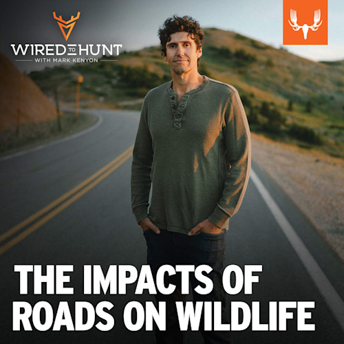 Man standing on a road with text "WIRED TO HUNT WITH MARK KENYON" and "THE IMPACTS OF ROADS ON WILDLIFE"