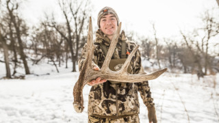 whitetail shed hunting