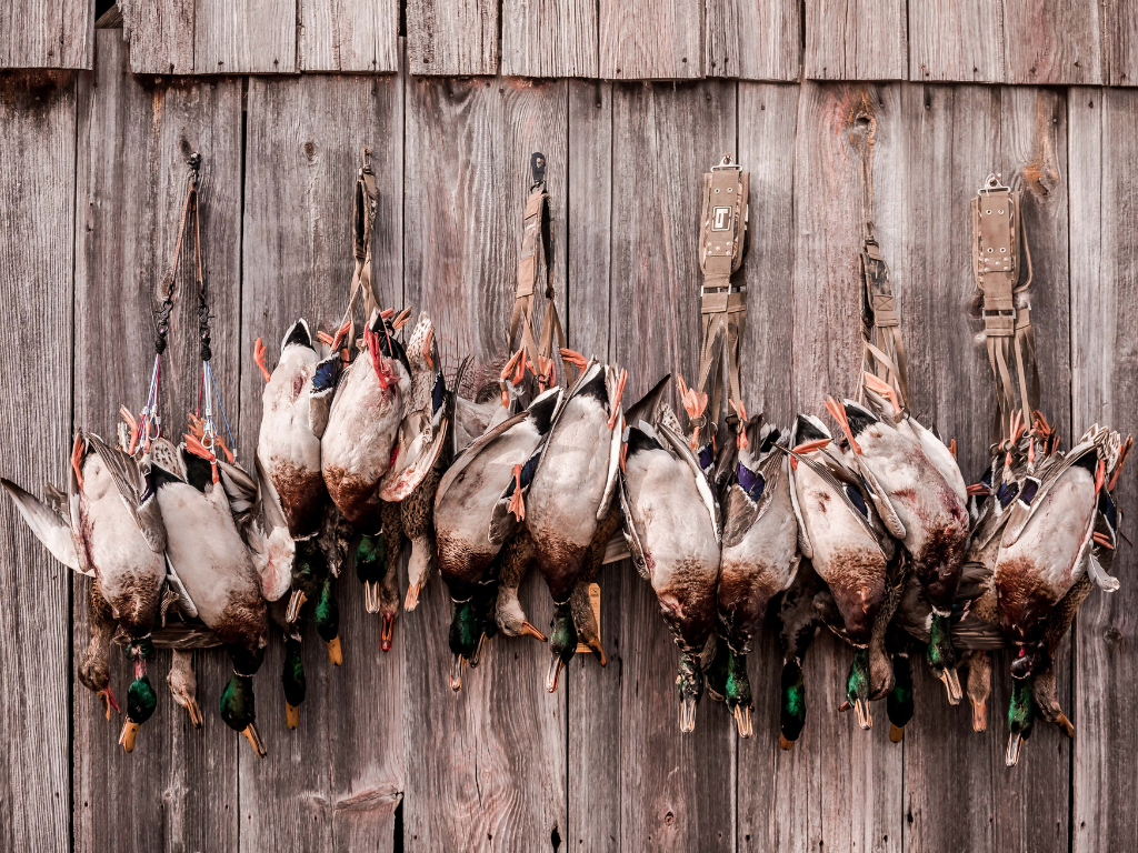 MeatEater Experiences Fowl Plains