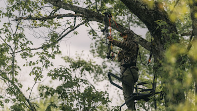 Connecticut Legislature Repeals Sunday Hunting Ban—But Only on Private Land