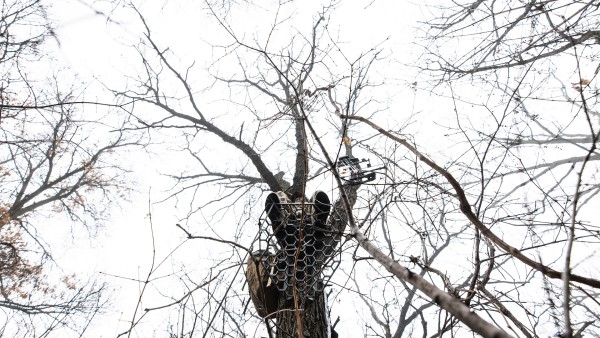 Is It Time To Ditch Your Treestand?