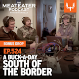 Ep. 524: BONUS DROP - A Buck-A-Day South of the Border