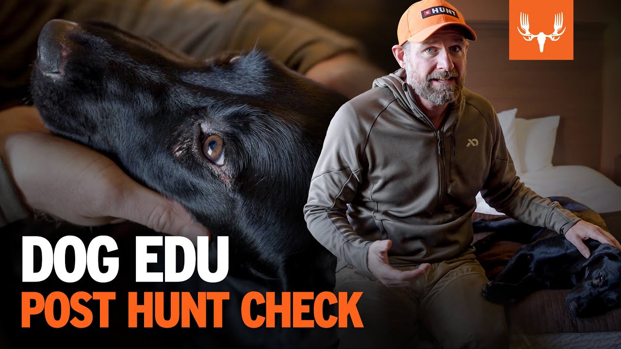 Post Hunt Check | Dog EDU Season 1