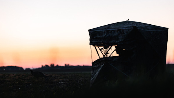 Turkey Hunting Can Make You a Better Whitetail Hunter