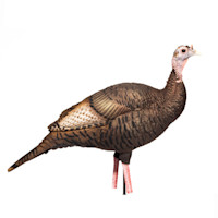 Upright plastic hen turkey decoy with detailed brown molded feather texture