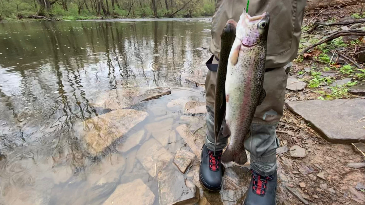 Lessons From Trout Fishing With Kids