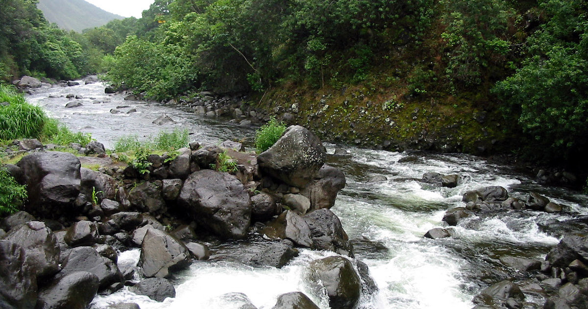 Hawaii Issues Record-Breaking Poaching Fine of $633,840 | MeatEater