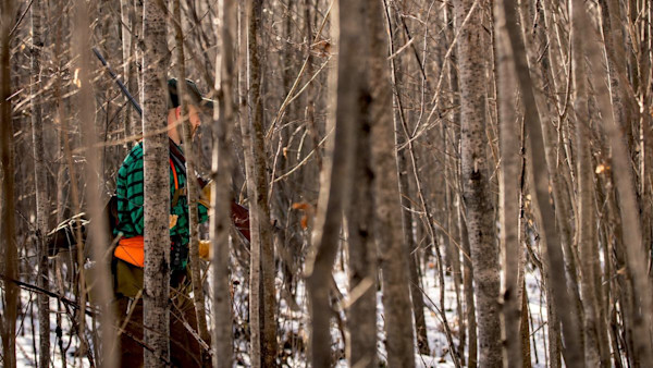 Why Hunters Accidentally Shoot Each Other