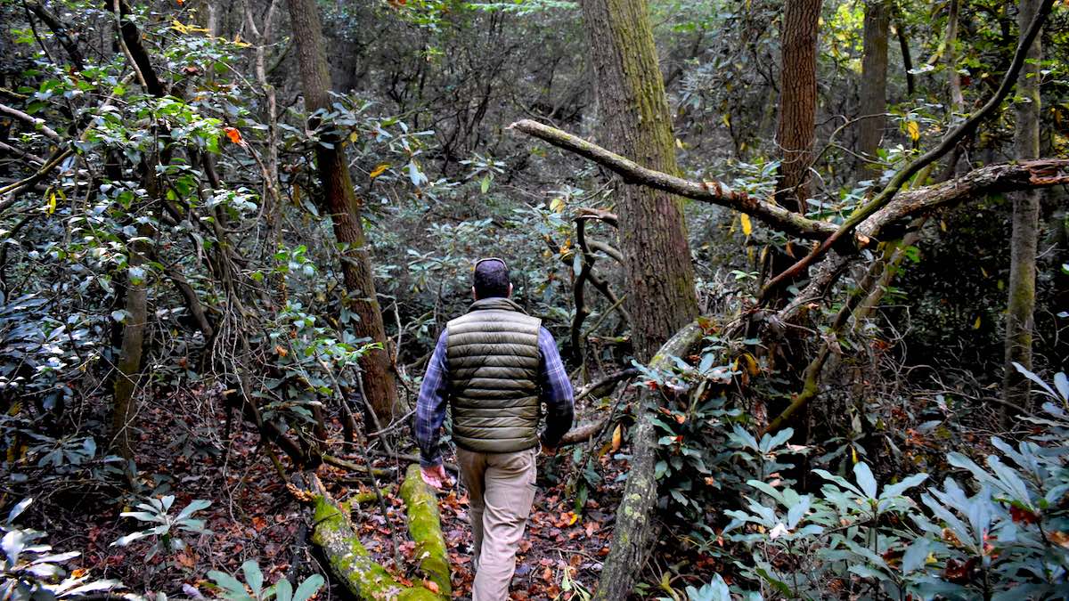 Hunters Fighting Sale of 800 National Forest Acres in Georgia