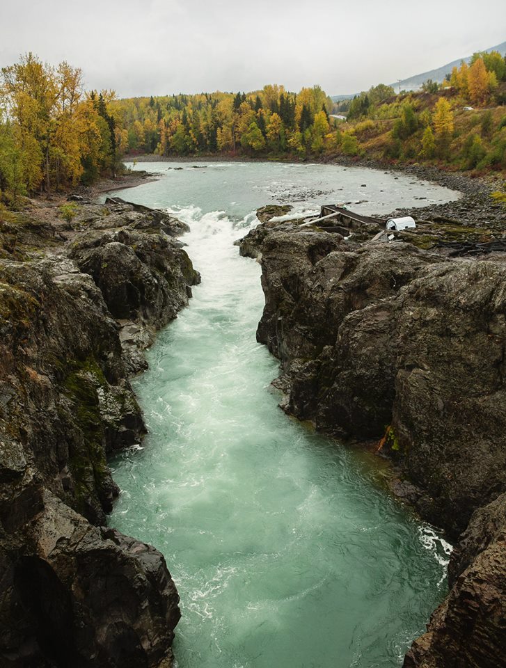 Five Steelhead Facts Worth Knowing