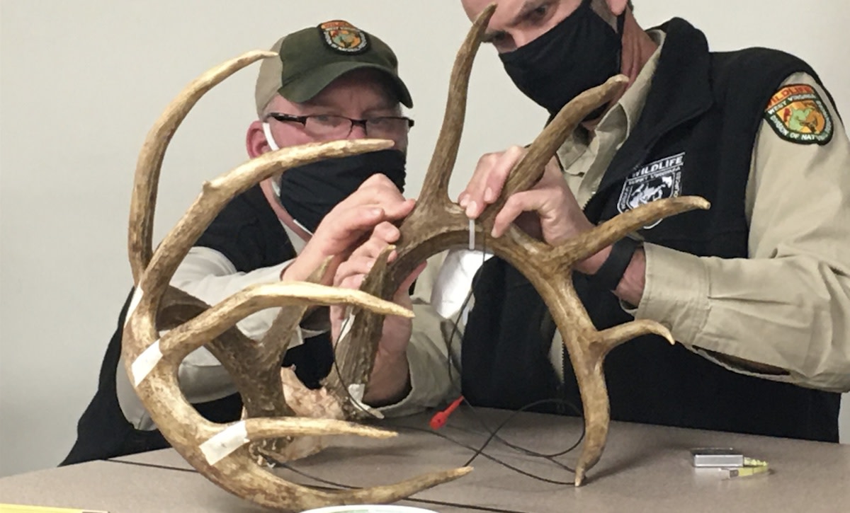 Official Scorers Confirm New West Virginia Whitetail Record