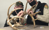 Official Scorers Confirm New West Virginia Whitetail Record