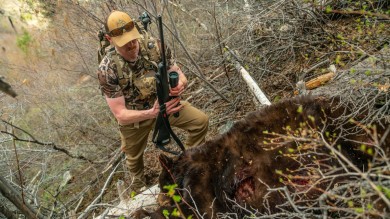 The Best Calibers for Bear Hunting