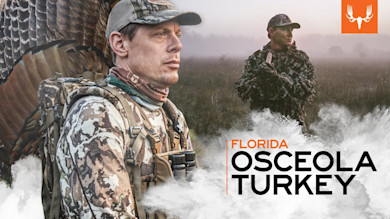 Florida Osceola Turkey