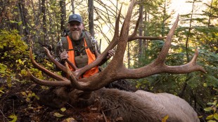 The Best Elk Cartridge You’ve Never Heard Of