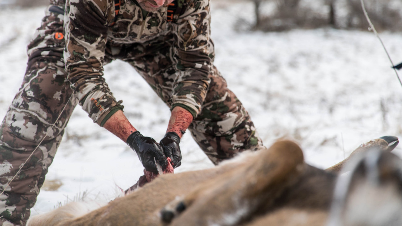 Why Every Hunter Should Care About Chronic Wasting Disease
