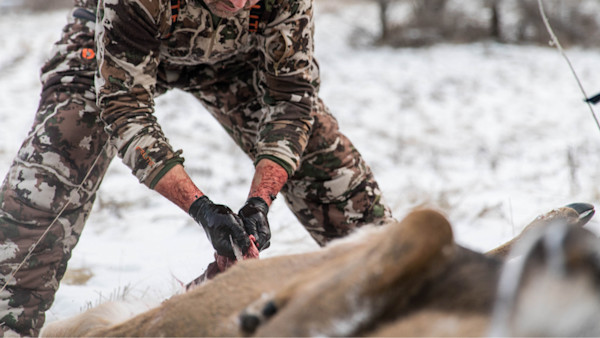 Why Every Hunter Should Care About Chronic Wasting Disease
