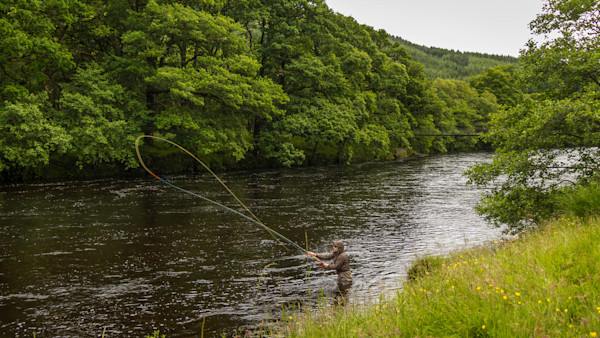 Why You Should Be Spey Casting