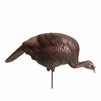 DSD Feeding Hen Decoy