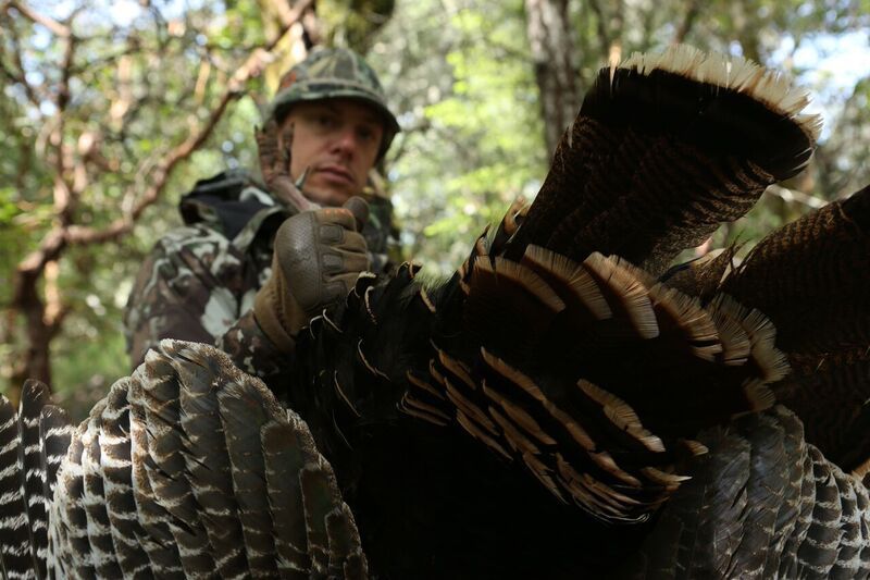 The Methods and Madness of Turkey Hunting MeatEater Hunting
