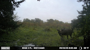 3 In-Season Trail Camera Mistakes That Will Cost You a Buck