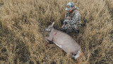 3 Things to Consider When Buying Whitetail Broadheads
