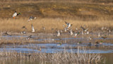 AdobeStock_589591188.jpeg