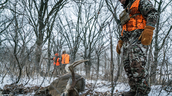 Is Pink the New Orange?