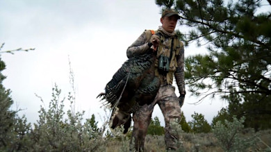 Hunter in camouflage carrying large wild turkey, binoculars on chest, pine trees behind