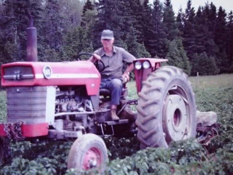 Man driving red tractor through a crop field with evergreen trees behind him