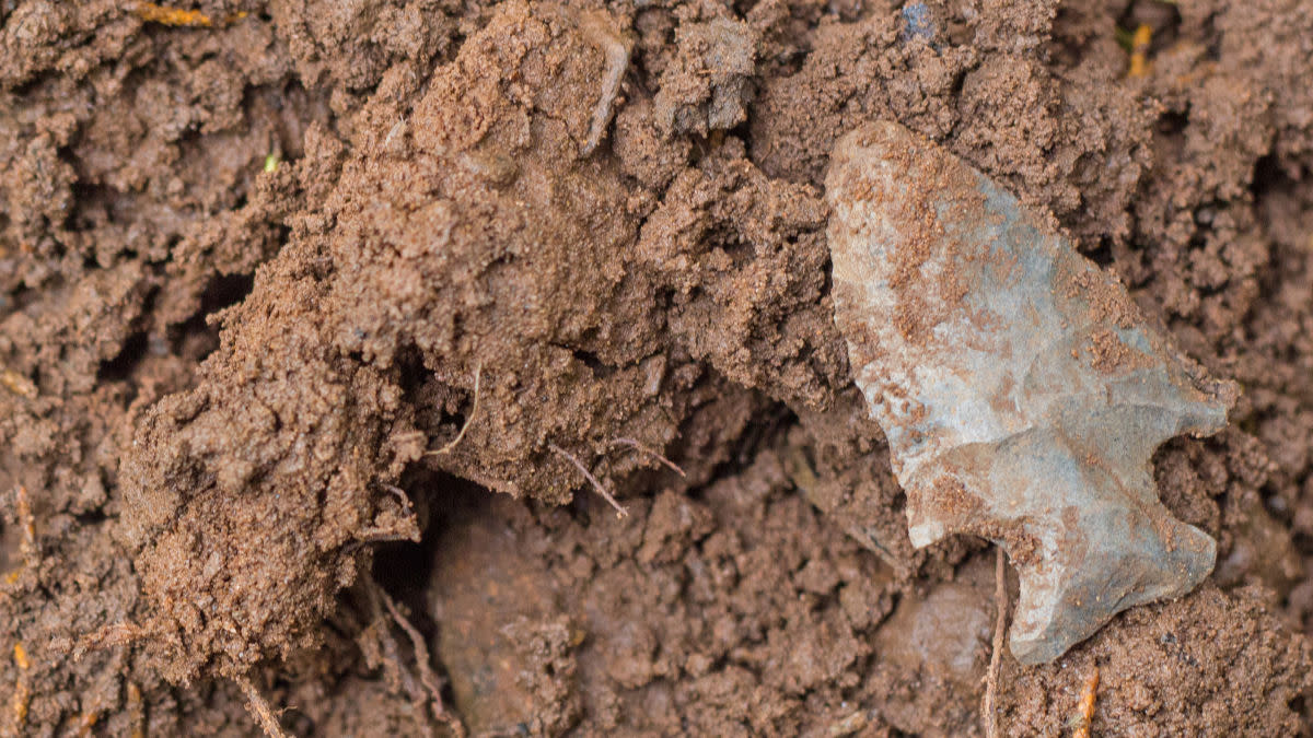 6 Places to Find Native American Arrowheads