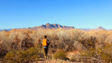 A Guide to Hunting Western Quail