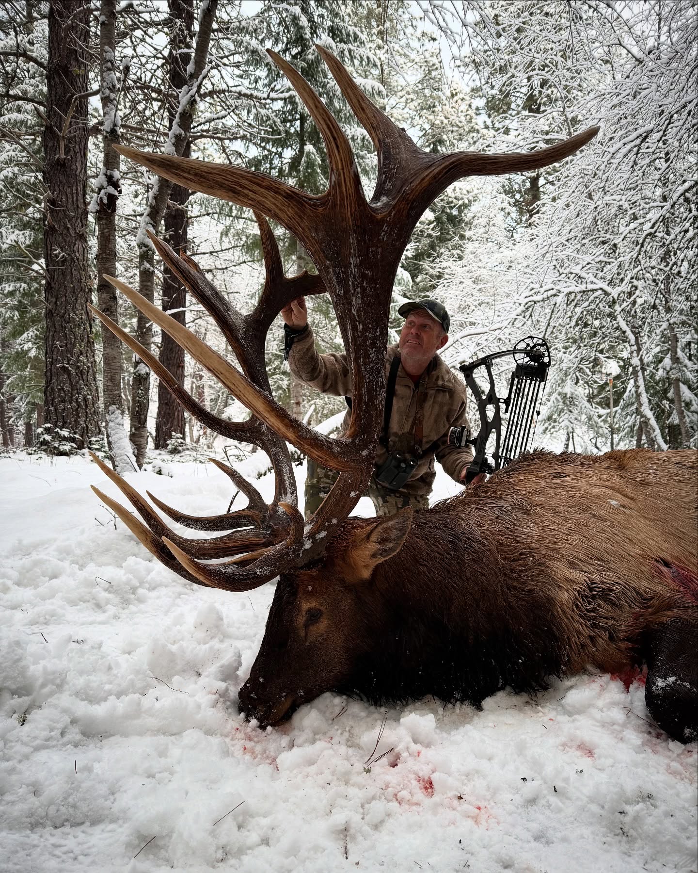 casey brooks elk