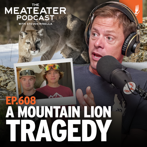 Ep. 608: A Mountain Lion Tragedy