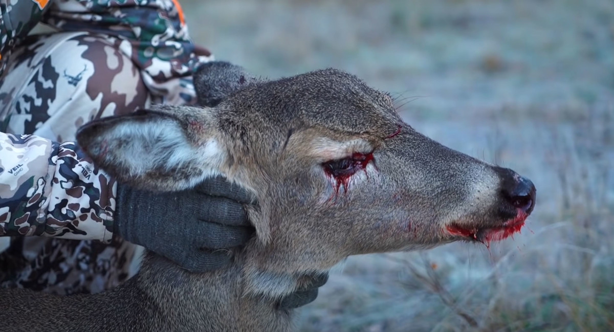 Fact Checker: Can a .50 BMG Kill a Deer Without Hitting It?