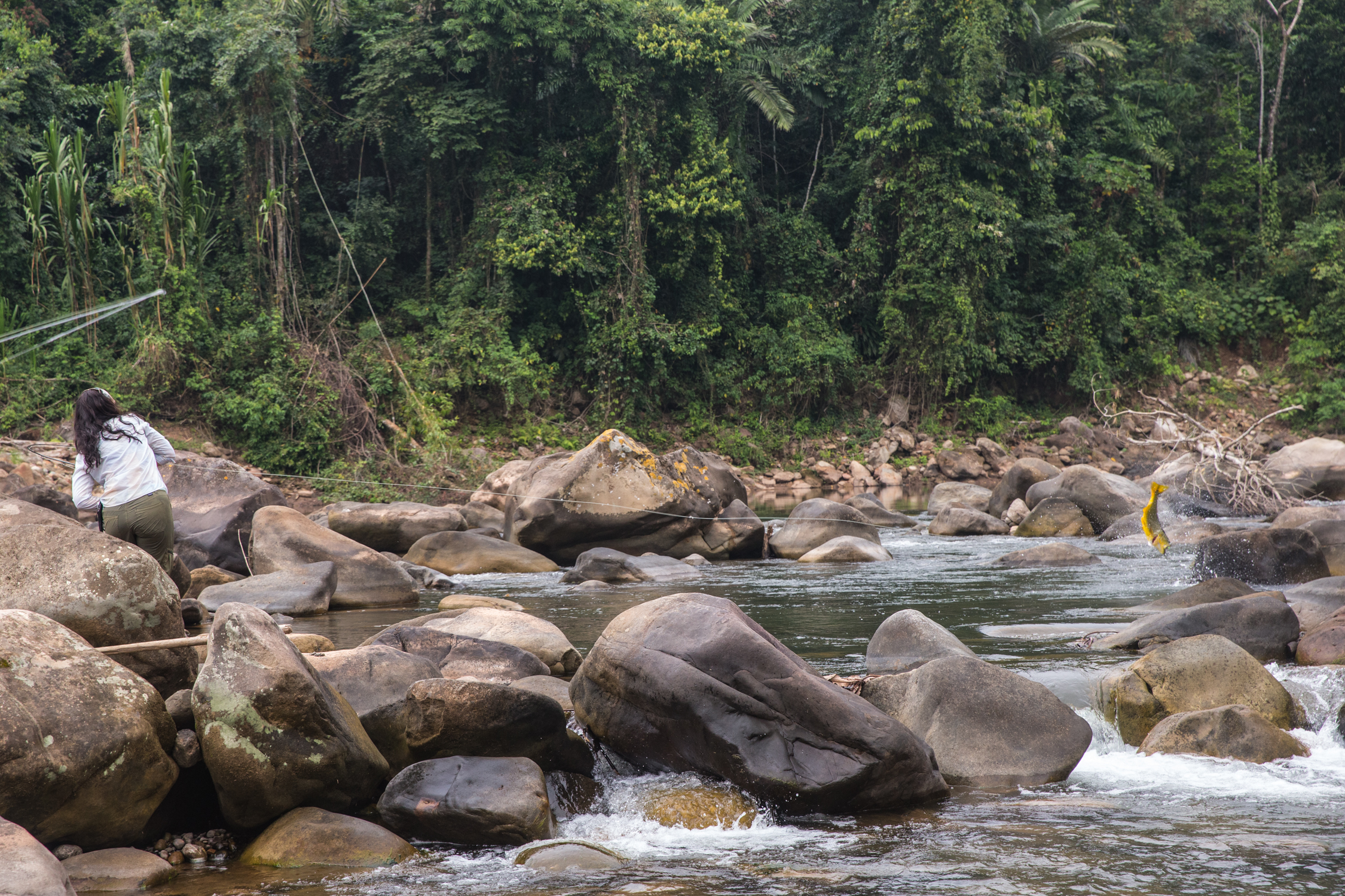 Fly Fishing in Bolivia: Beyond the Gold