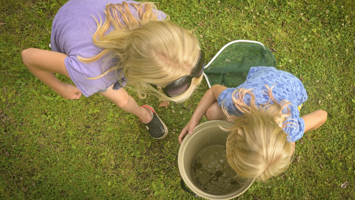 catching frogs