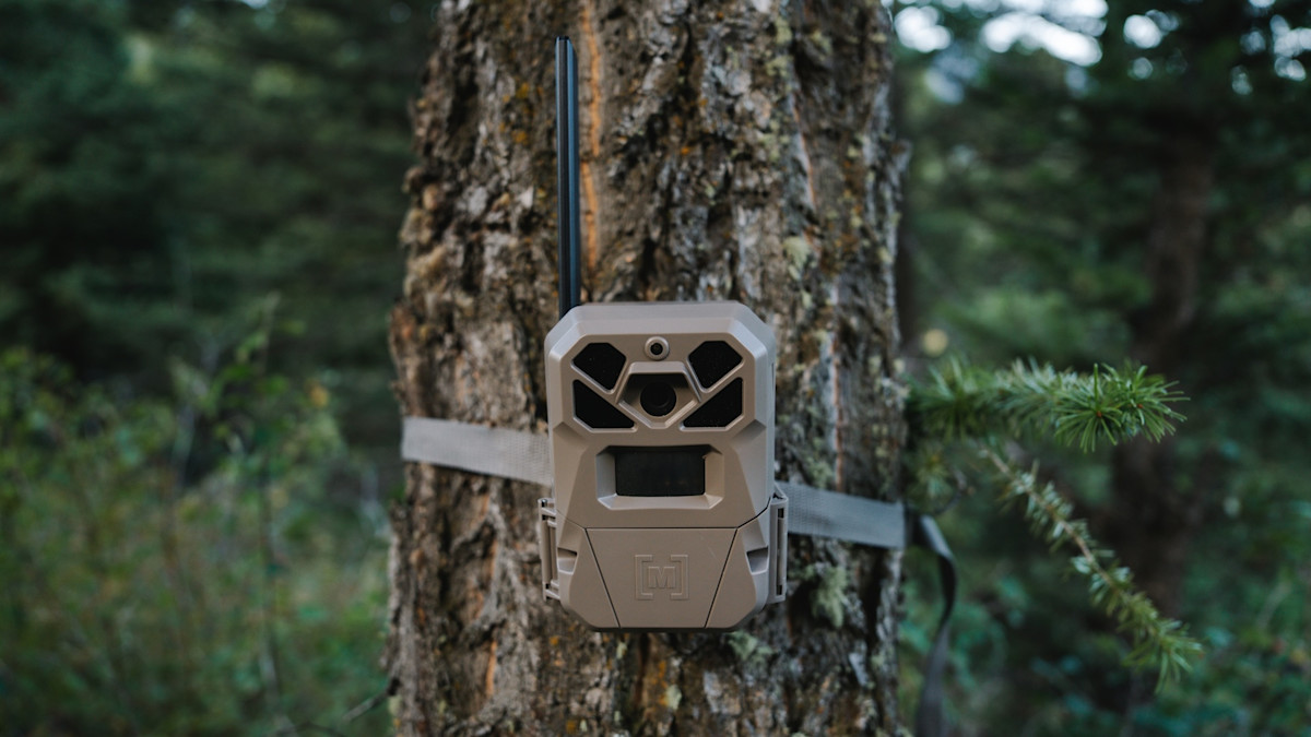 Wildlife trail camera with antenna and mounting strap