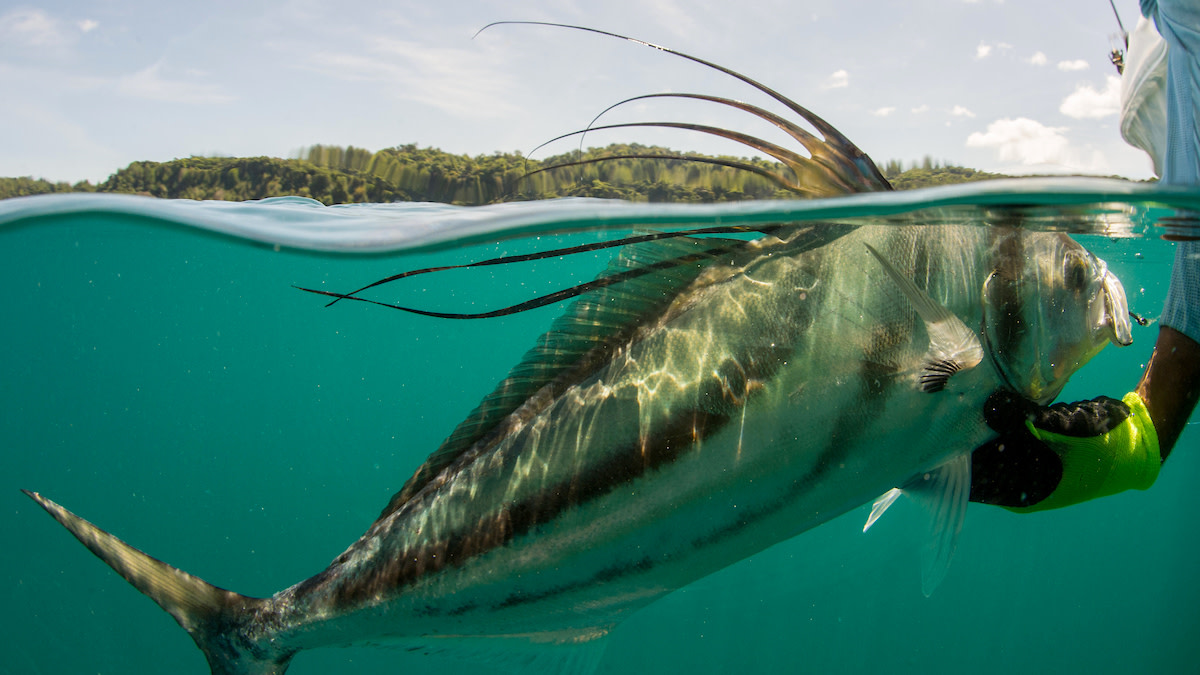 This Country Just Made Catch and Release Fishing Illegal