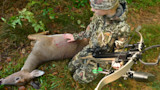 3 Mistakes Almost All Newbie Crossbow Hunters Make 